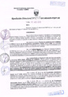 Vista preliminar de documento R.D. Nº 257.pdf