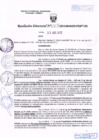 Vista preliminar de documento R.D. Nº 263.pdf