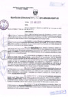 Vista preliminar de documento R.D.Nº 272.pdf