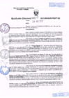 Vista preliminar de documento R.D. Nº 291.pdf