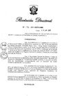 Vista preliminar de documento RD N° 196-2011.pdf