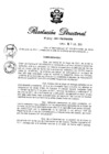 Vista preliminar de documento RD N° 202-2011.pdf