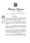 Vista preliminar de documento RD N° 213-2011.pdf