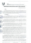 Vista preliminar de documento RGM0161-2020