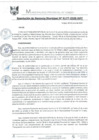 Vista preliminar de documento RGM0177-2020