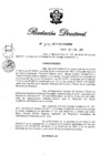 Vista preliminar de documento RD N° 217-2011.pdf