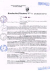 Vista preliminar de documento R.D. Nº 312.pdf