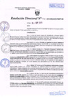 Vista preliminar de documento R.D. Nº 313.pdf