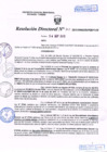 Vista preliminar de documento R.D. Nº 315.pdf