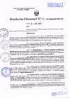Vista preliminar de documento R.D. Nº 316.pdf