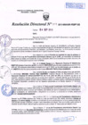 Vista preliminar de documento R.D. Nº 317.pdf