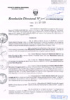 Vista preliminar de documento R.D. Nº 319.pdf