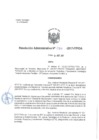 Vista preliminar de documento 2017