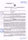 Vista preliminar de documento R.D. Nº 325.pdf