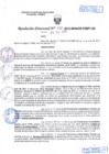 Vista preliminar de documento R.D. Nº 335.pdf