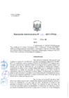 Vista preliminar de documento 2017