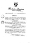 Vista preliminar de documento RD N° 246-2011.pdf