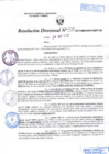 Vista preliminar de documento R.D. Nº 370.pdf
