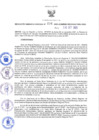 Vista preliminar de documento RES N°234-2021-GRDS