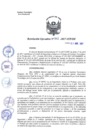 Vista preliminar de documento 2017