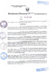Vista preliminar de documento R.D. Nº 371.pdf