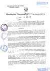 Vista preliminar de documento R.D. Nº 377.pdf