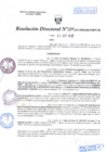 Vista preliminar de documento R.D.Nº 384.pdf