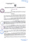 Vista preliminar de documento R.D. Nº 393.pdf