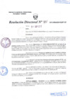 Vista preliminar de documento R.D. Nº 401.pdf