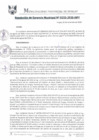 Vista preliminar de documento RGM0233-2020
