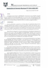 Vista preliminar de documento RGM0245-2020