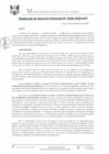 Vista preliminar de documento RGM0228-2020