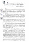 Vista preliminar de documento RGM0241-2020