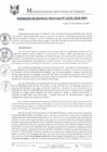Vista preliminar de documento RGM0276-2020
