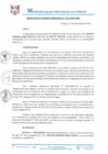 Vista preliminar de documento RGM0272-2020