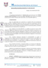 Vista preliminar de documento RGM0296-2020