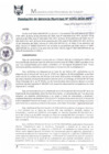 Vista preliminar de documento RGM0293-2020
