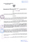 Vista preliminar de documento R.D. Nº 411.pdf