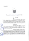 Vista preliminar de documento 2017