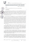 Vista preliminar de documento RGM0317-2020