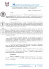 Vista preliminar de documento RGM0331-2020