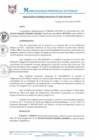 Vista preliminar de documento RGM0332-2020