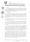 Vista preliminar de documento RGM0339-2020