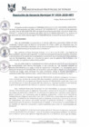 Vista preliminar de documento RGM0326-2020