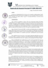 Vista preliminar de documento RGM0380-2020