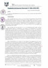 Vista preliminar de documento RGM0401-2020