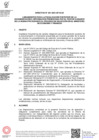 Vista preliminar de documento directiva_001_2021EF4303.pdf