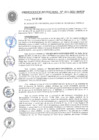 Vista preliminar de documento ORDENANZA MUNICIPAL N° 011-2021-MPCP