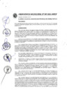Vista preliminar de documento ORDENANZA MUNICIPAL N° 007-2021-MPCP