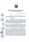 Vista preliminar de documento Resolución de Dirección Ejecutiva N° 053-2019.pdf